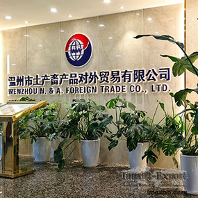 Wenzhou N. & A. Foreign Trade Co., Ltd.